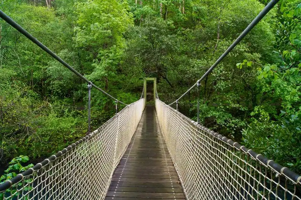 La Coruña treasures to discover 11 Fragas de Eume 3