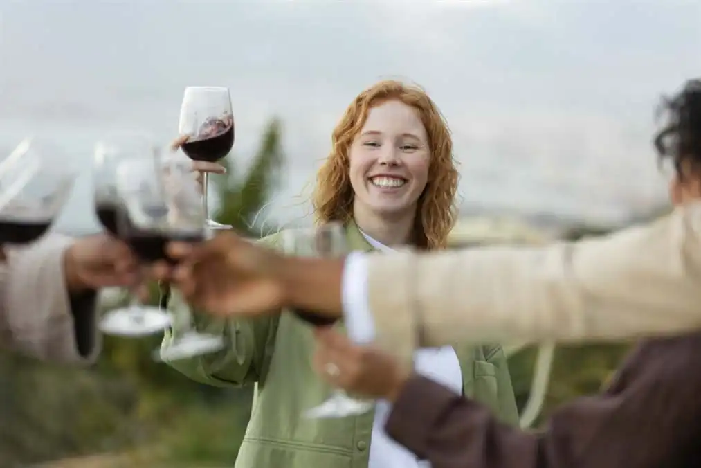 Amigos brindando con copas de vino durante una fiesta al aire libre a escala 1