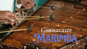 Guanacaste Marimba Ensemble: Resonating Tradition and The Captivating Journey