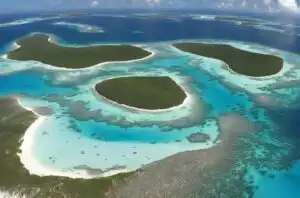 Curiosities of Venezuela