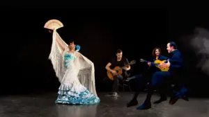 El flamenco es un arte lleno pasión
