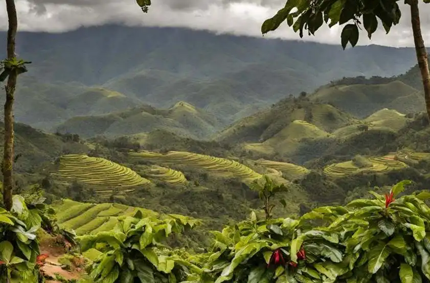 Curiosidades de Colombia