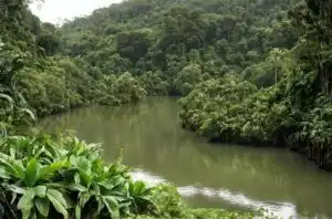 Curiosidades de Honduras