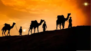 Los Tres Reyes Magos: Navegando por la tradición, la fe y la celebración