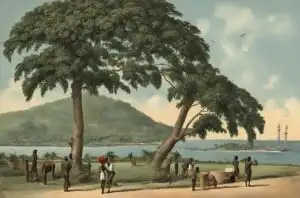 Historia de Guinea Ecuatorial